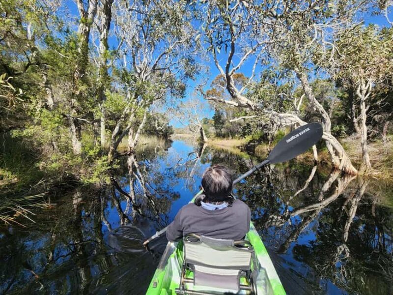 Bribie Island: Sea to Table 4WD, Kayak, & Seafood Lunch Tour - Final Thoughts