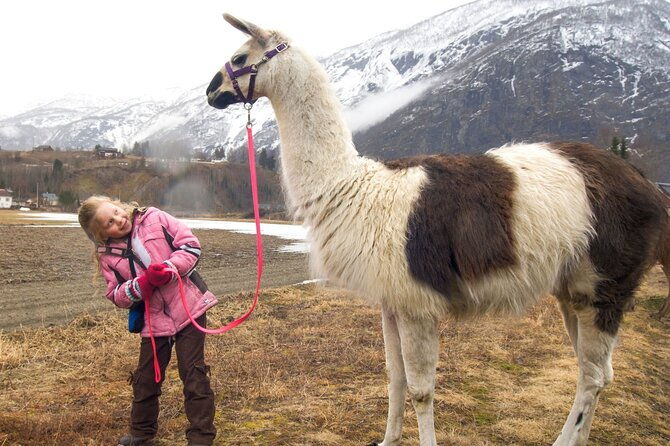 bridger-teton-llama-treks