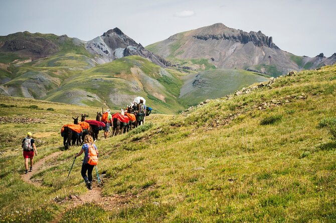 bridger-teton-llama-treks