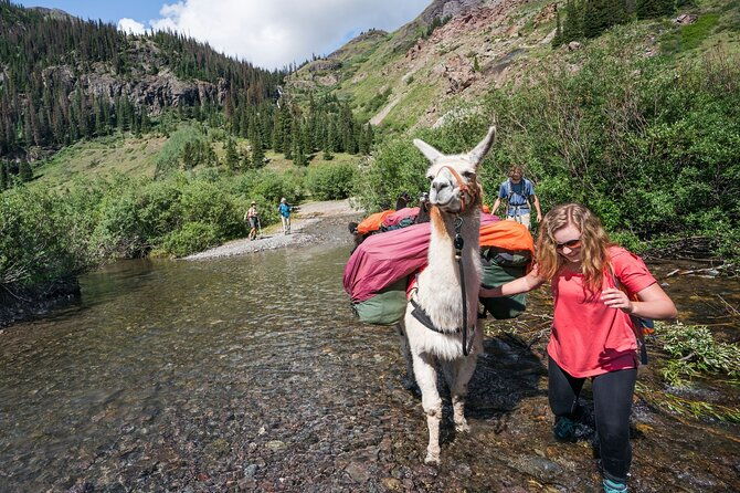 bridger-teton-llama-treks