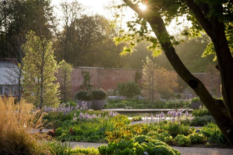 bridgewater-royal-horticultural-society-garden-ticket