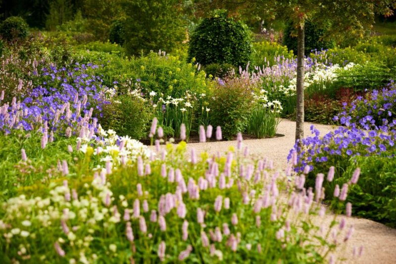 bridgewater-royal-horticultural-society-garden-ticket