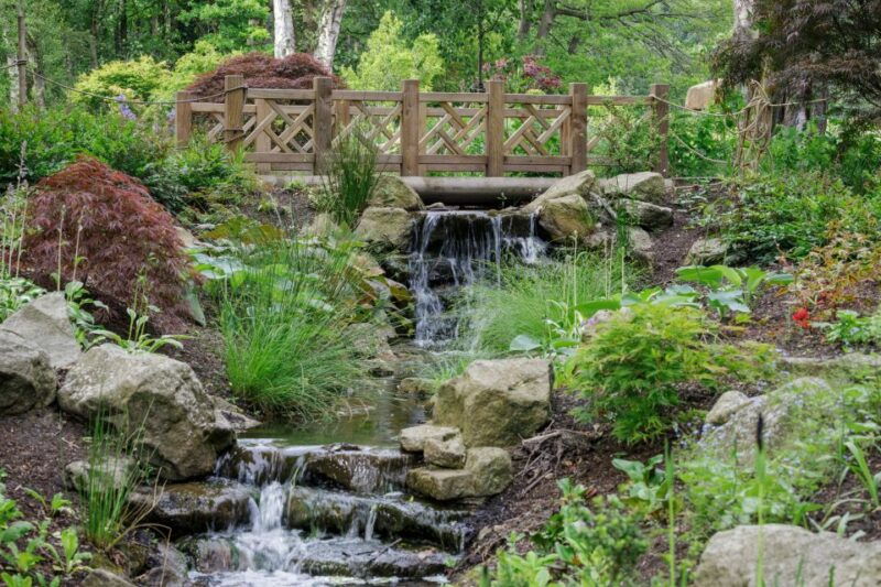 bridgewater-royal-horticultural-society-garden-ticket