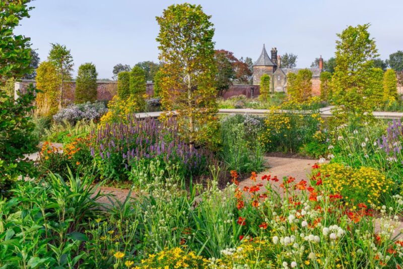 bridgewater-royal-horticultural-society-garden-ticket