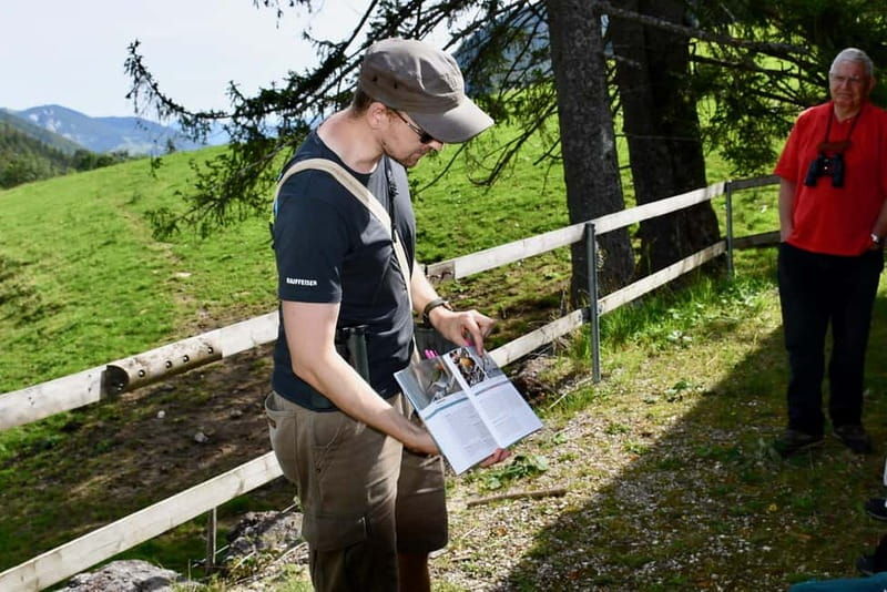 Brigels: High valley safari in Val Frisal - What Makes This Tour Stand Out?