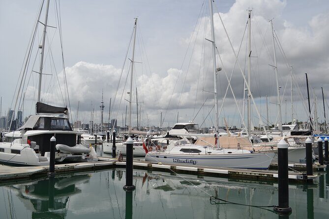 Bright Mornings in Auckland - Exploring Auckland: What to Expect from the Bright Mornings Tour