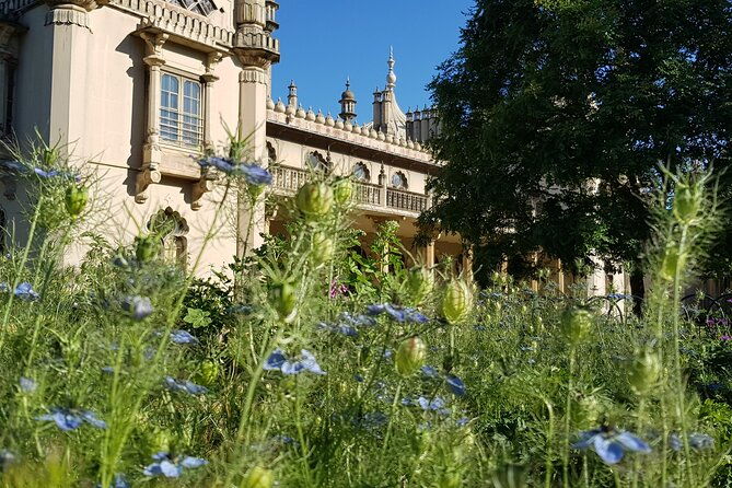 brighton-and-white-cliffs-private-tour-from-london