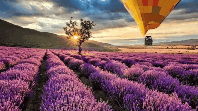 brihuega-balloon-flight-above-lavender-fields