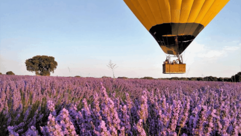 brihuega-balloon-flight-above-lavender-fields