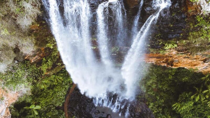 Brisbane: 6 Waterfalls, Koalas & Natural Bridge Day Tour - Introduction