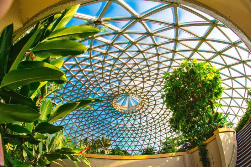 Brisbane Bus Tour: City highlights & Mt Coot-tha Lookout - What You Can Expect on This Brisbane Tour