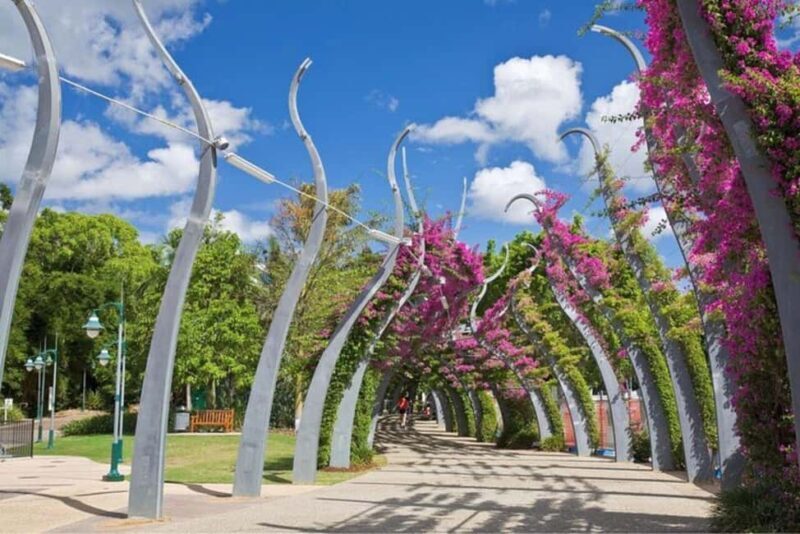 Brisbane : City Highlights Private Walking Tour - Key Points