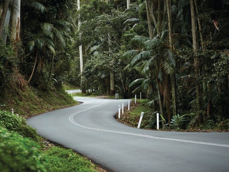 Brisbane: Daytime Glow Worm Caves Hop-on Hop-off Bus Tour - Who Is This Tour Best For?