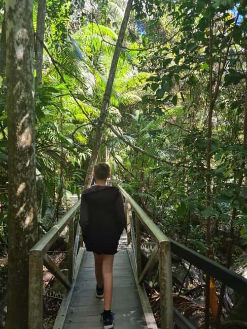 Brisbane Departure : Explore Tamborine Mountain Day Tour - Key Points  