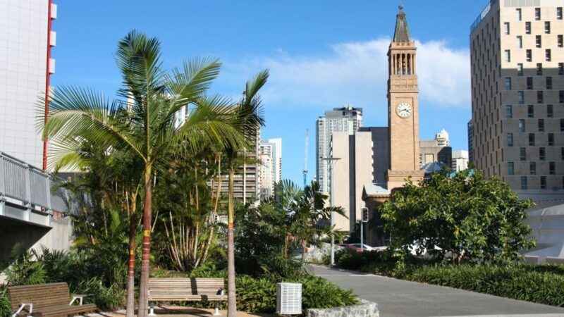 Brisbane: Donuts & Discovery Walking Tour - Final Thoughts