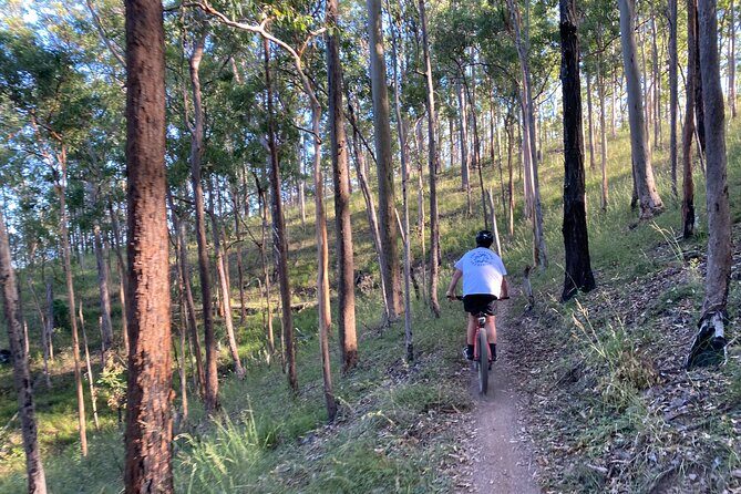 Brisbane Electric Mountain Bike Experience Tour - The Balance Between Fun and Learning