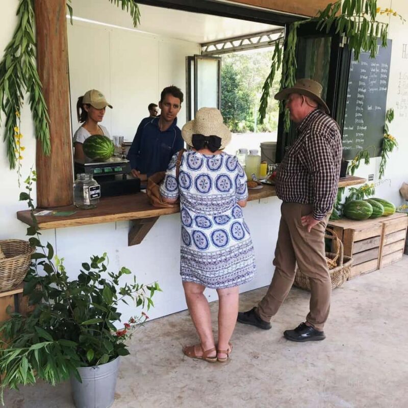 Brisbane Farm Day Trip | Ellia's Garden Scenic Rim - Who Will Love This Experience?