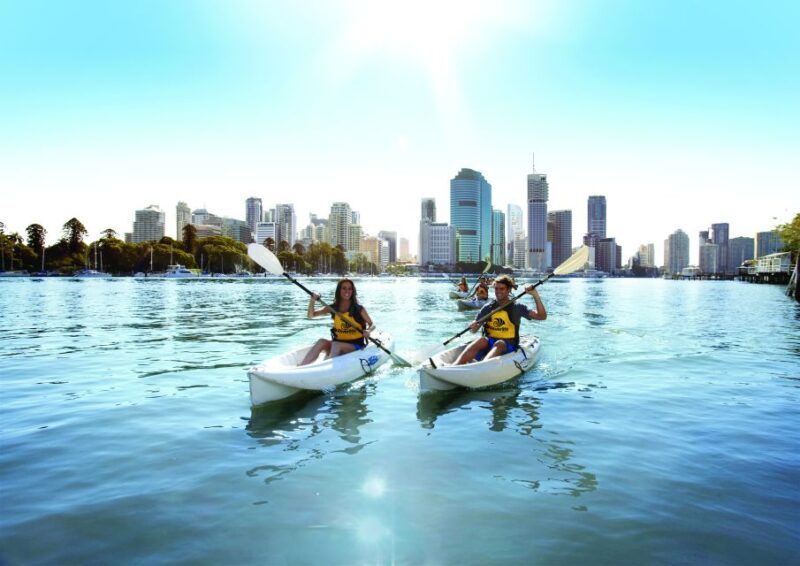 Brisbane: Guided River Kayak Tour - Key Points