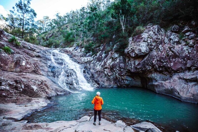 Brisbane: Hop on Hop off Bus to Tamborine Mountain - Who Should Book This Tour?