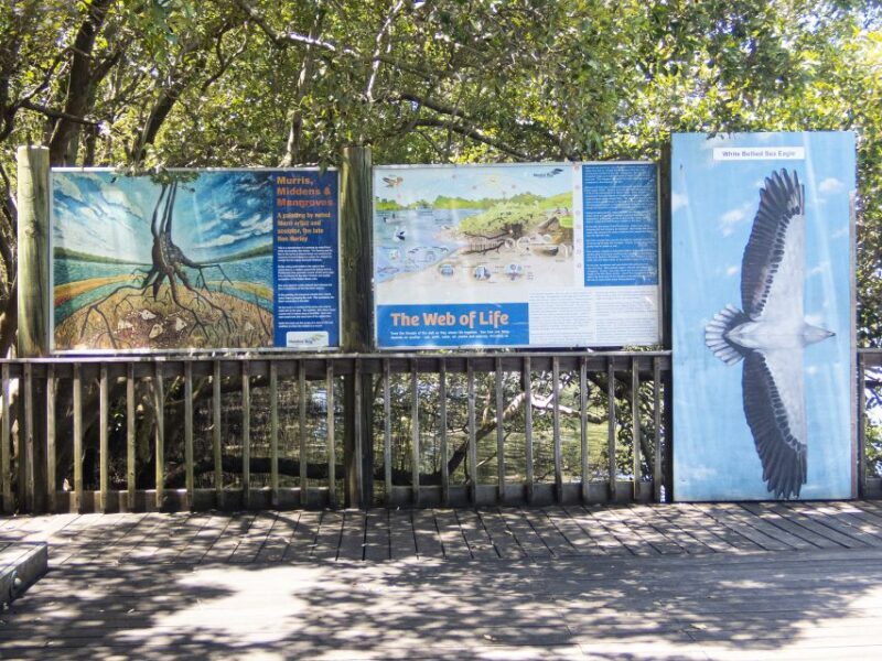 Brisbane: Kangaroos, Birds and Mangroves Coastal Tour - An In-Depth Look at the Brisbane: Kangaroos, Birds, and Mangroves Coastal Tour