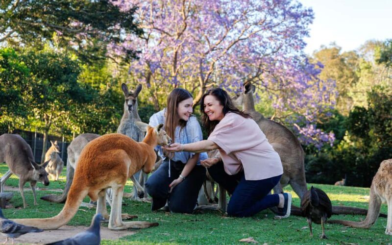 Brisbane: Lone Pine Koala Sanctuary Day Pass - Final Thoughts
