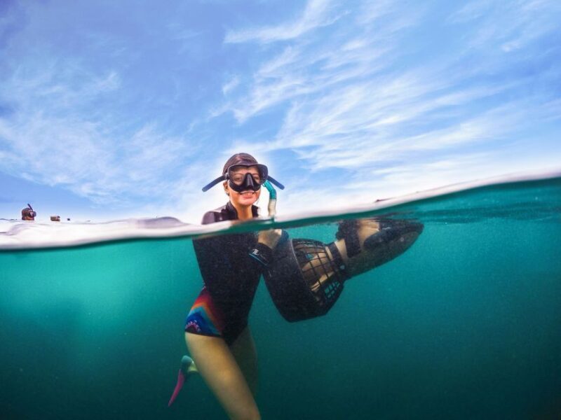 Brisbane: Moreton Island Return Ferry & Adventure Day Pass - FAQ