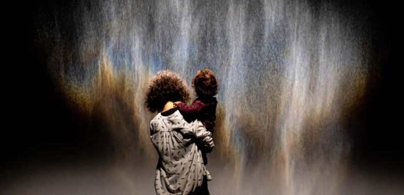 Brisbane: Olafur Eliasson Presence Exhibition Flexi Pass - Key Points