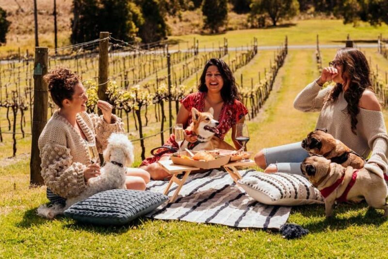 Brisbane: Picnic in the Vines - Who Is This Tour Best For?