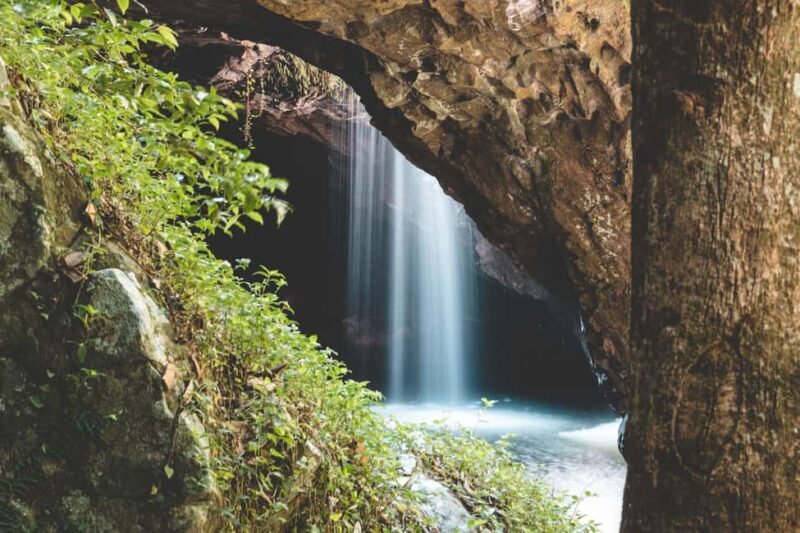 Brisbane: Rainforests, Waterfalls and Glow Worm Cave Tour - Discovering Queenslands Natural Wonders