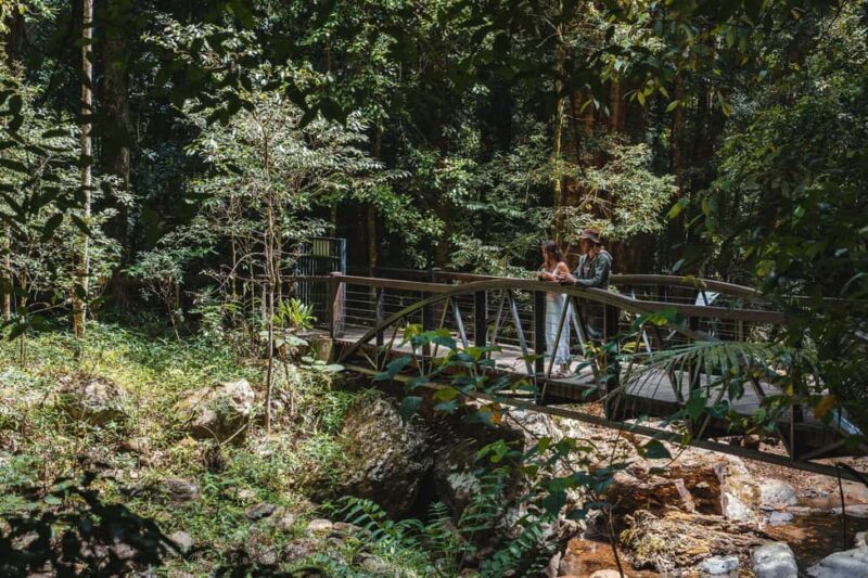 Brisbane: Rainforests, Waterfalls and Glow Worm Cave Tour - Authentic Experiences According to Reviews