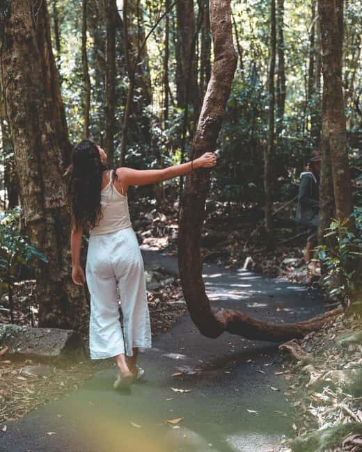 Brisbane: Rainforests, Waterfalls and Glow Worm Cave Tour - FAQs