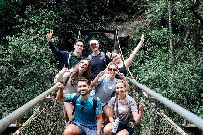 Brisbane: Springbrook 7 Waterfalls and Natural Bridge Day Tour - An Honest Look at the Tour Experience