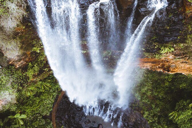 Brisbane: Springbrook 7 Waterfalls and Natural Bridge Day Tour - Who Is This Tour Best For?