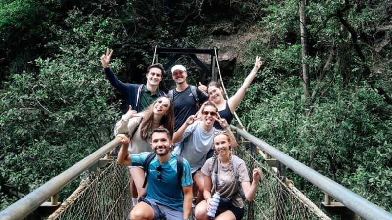 Brisbane: Springbrook 7 Waterfalls and Natural Bridge Tour - The Sum Up