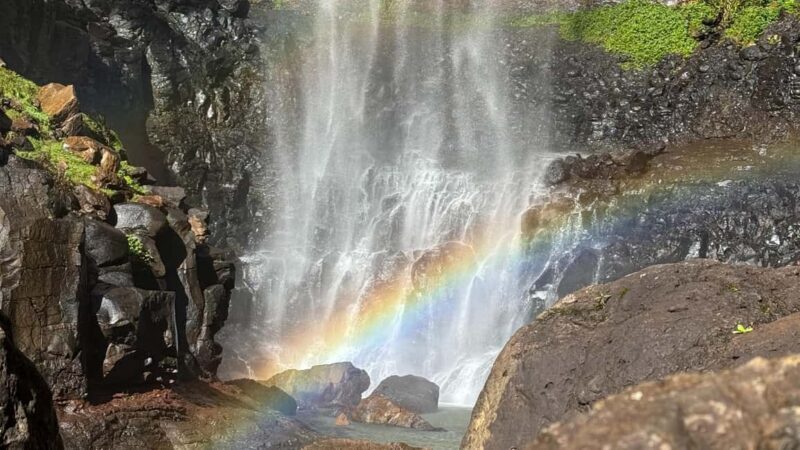 Brisbane: Springbrook 7 Waterfalls and Natural Bridge Tour - FAQs