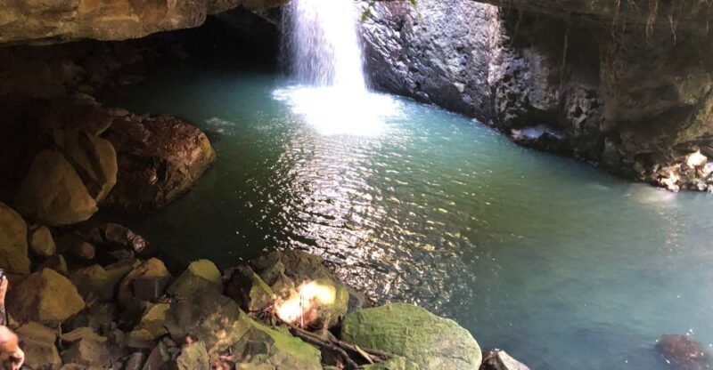 Brisbane: Springbrook and Mt Tamborine Glow Worm and Skywalk - Practical Details & Tips