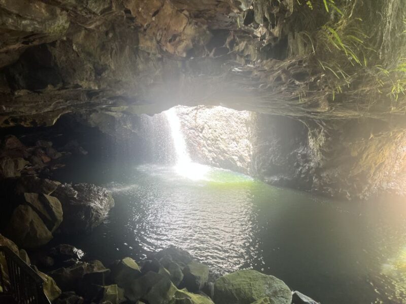 Brisbane: Springbrook and Mt Tamborine Glow Worm and Skywalk - FAQs