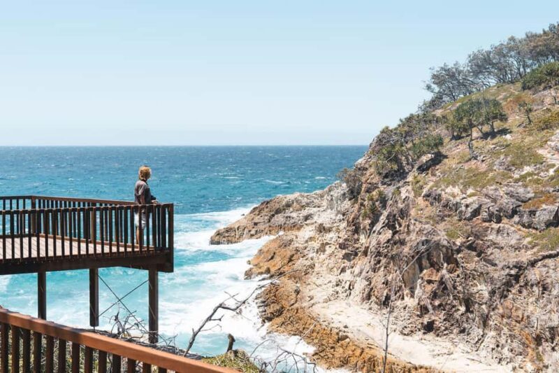 Brisbane: Stradbroke Island Eco Tour - Small Group, Full Day - Authentic Wildlife Encounters and Natural Beauty