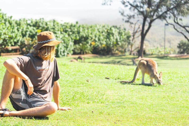 Brisbane: Stradbroke Island Eco Tour - Small Group, Full Day - The Sum Up: Is This Tour Right for You?