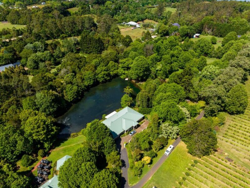 Brisbane: Tamborine Mountain Local Winery Tour with Lunch - Key Points: