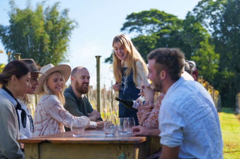 Brisbane: Tamborine Wine & Distillery Tour + 2 Course Lunch - The Experience for Different Travelers