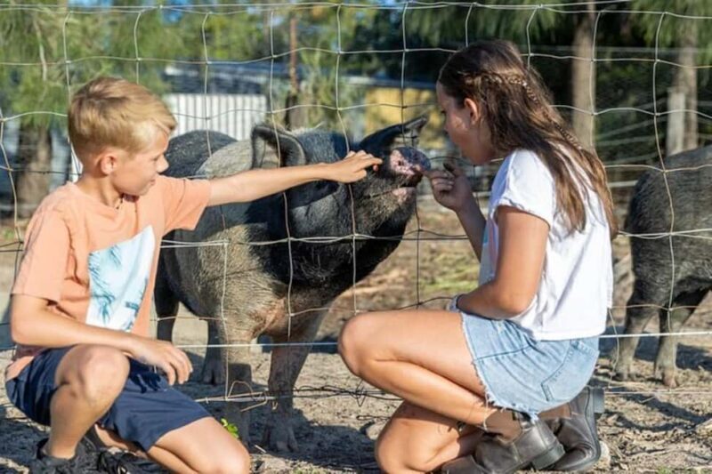 Brisbane: Trevena Glen Farm 1hr Animal Experience - In-Depth Breakdown of the Experience