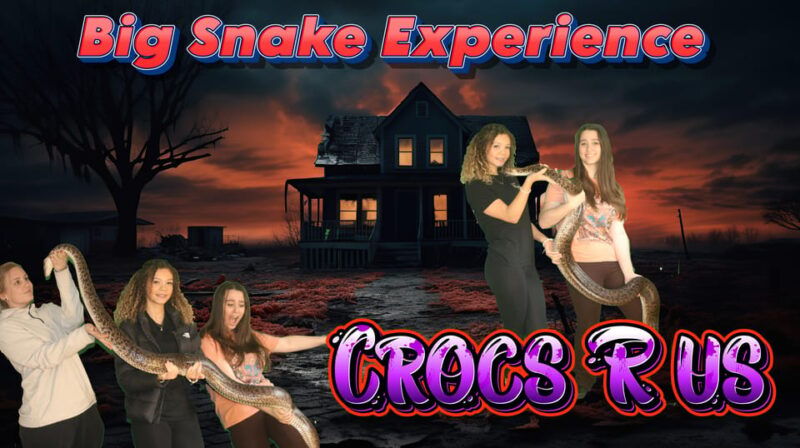 bristol-big-snake-keeper-for-two-people