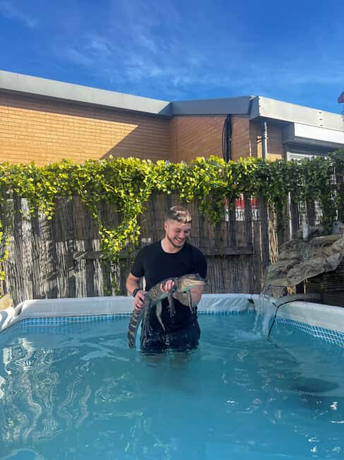 Bristol: Crocodile Swimming Experience coffee and cake - Practical Details and What to Expect