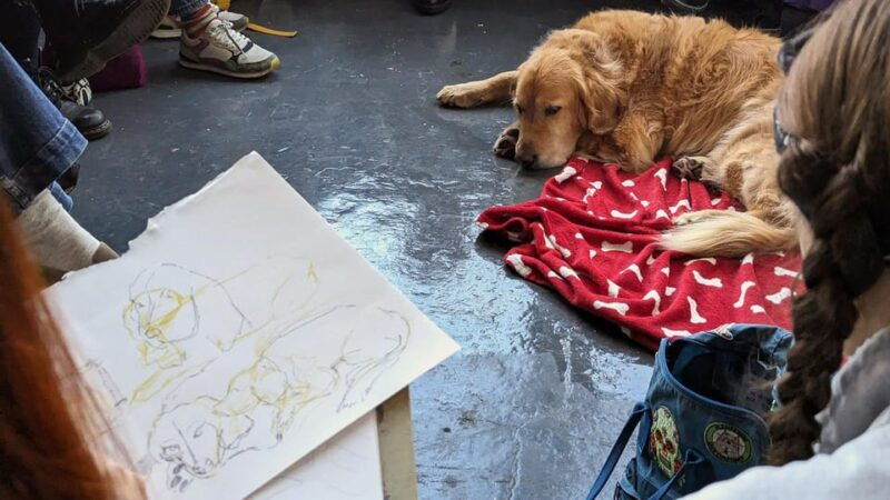 bristol-dog-life-drawing-led-by-local-artist-cai-burton