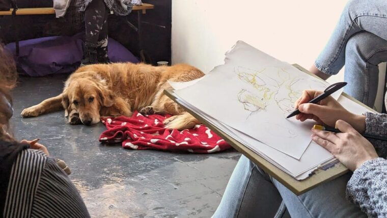 bristol-dog-life-drawing-led-by-local-artist-cai-burton