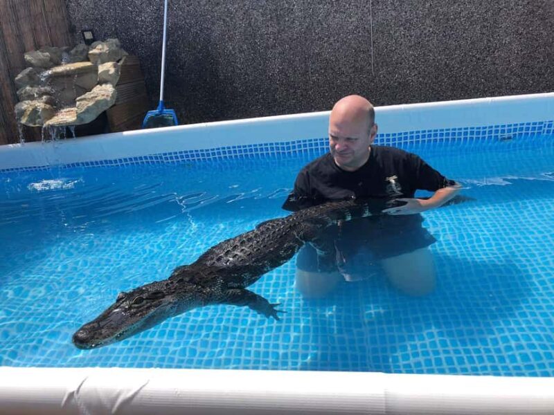 Bristol: Swimming with Crocodiles coffee and cake - The Practicalities: What You Need to Know
