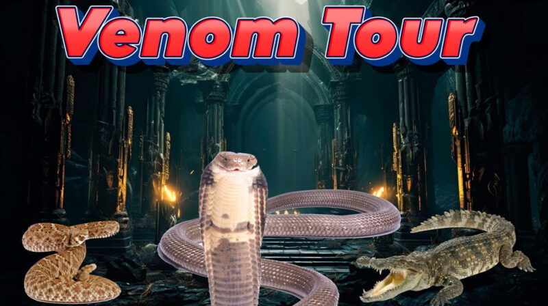 bristol-venomous-snake-tour-w-guide-croc-photo
