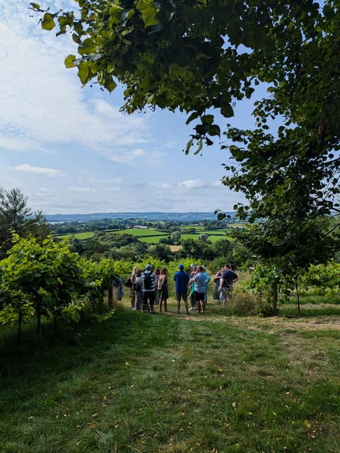 bristol-wine-cheese-in-the-cheddar-valley