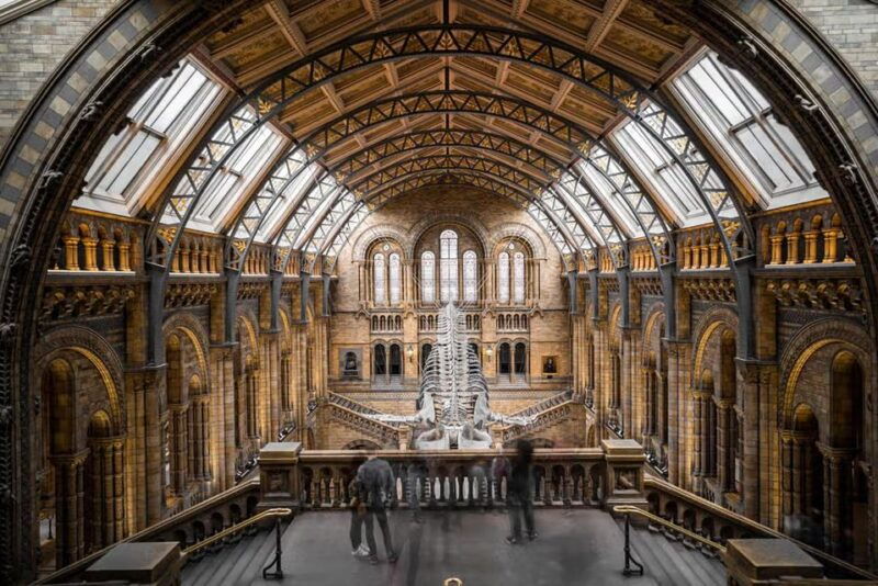 British Museum: Rosetta Stone, Parthenon Sculptures, Egypt - Highlights of the Tour